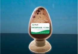 食品原料小百科：新的維生素—— PQQ