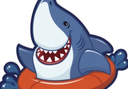 食品原料小百科:硫酸軟骨素可以用在什么地方?