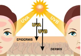 化妝品原料小百科：NAG與煙酰胺復(fù)配使用能改善色斑嗎？