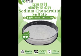 軟骨救星，硫酸軟骨素鈉讓你告別關(guān)節(jié)疼痛！