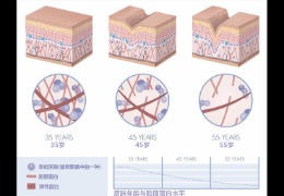 水潤(rùn)皮膚的秘密武器，乙酰殼糖胺和透明質(zhì)酸的甜蜜聯(lián)盟！