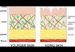 正確選擇精華素，讓你的肌膚更緊致、更年輕
