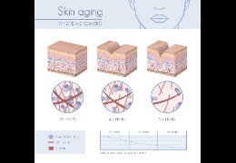 羥丙基三甲基氯化銨：透明質酸鉀的功效及用途  乙酰化透明質酸鈉