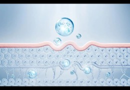 護膚品滲透和吸收是一回事嗎？