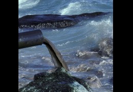 核輻射風波，日妝還能用嗎？