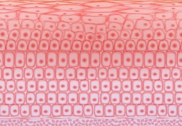 如何保護(hù)皮膚，才能使皮膚看起來健康？